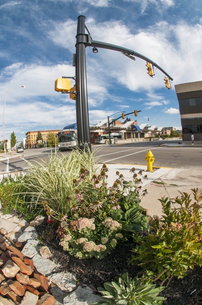 Plants grow in wooden planter boxes at the urban garden on the corner of Main street and High street on Sept. 2. The garden has a number of vegetable plants and flowers. DN FILE PHOTO JONATHAN MIKSANEK