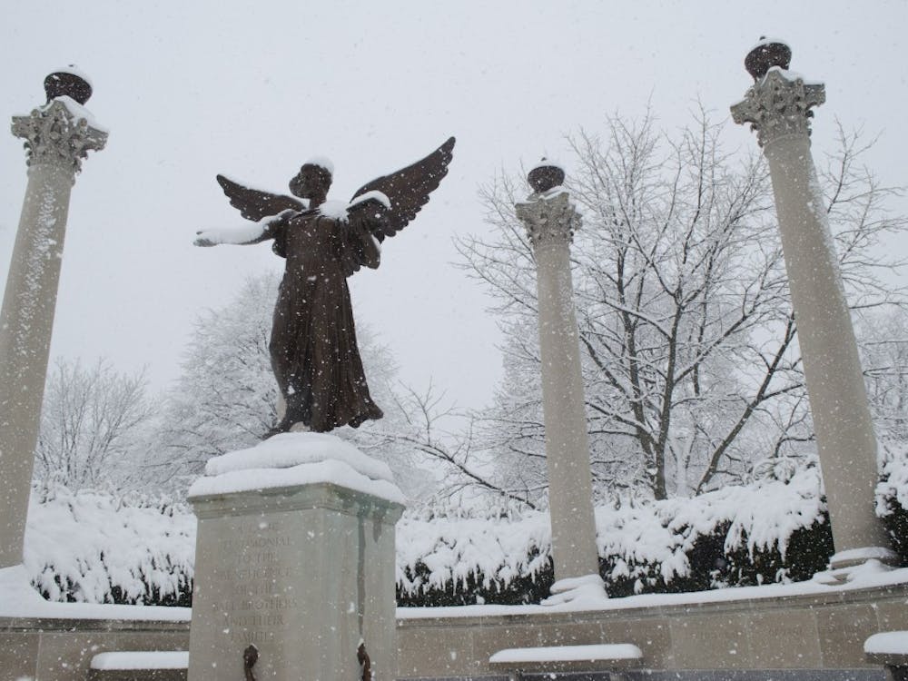 Snow falls on Beneficence during the winter storm on Jan. 5. Classes were canceled for Jan. 6 due to the predicted subzero temperatures. DN PHOTO BREANNA DAUGHERTY