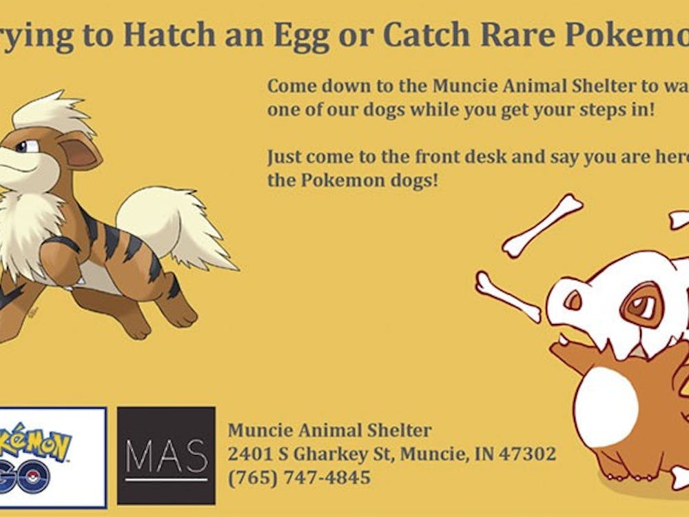 PHOTO COURTESY OF MUNCIE ANIMAL SHELTER