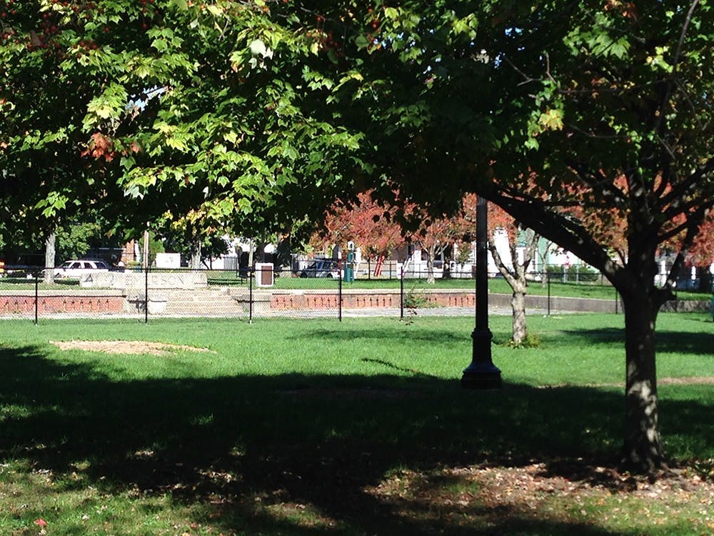 A new dog park will open up at Ashland and Pauline avenues later this month. There will be an annual fee of $25 to let your dog off the leash to play in the enclosed area. DN PHOTO ASHLEE HAYES