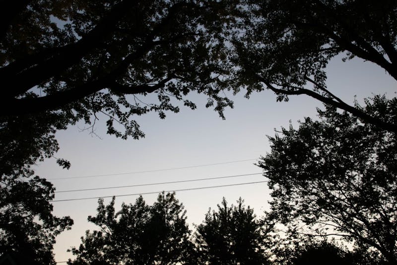 Ball State professor speak on deforestation. Tree deforestation accounts for 12 percent of human carbon dioxide emissions, according to the NASA Earth Observatory. Jacob Musselman, DN