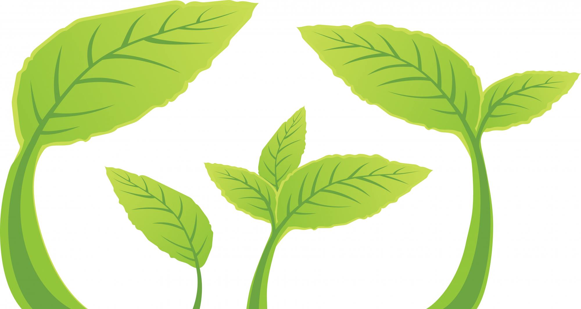 Josie Santiago, DN Illustration