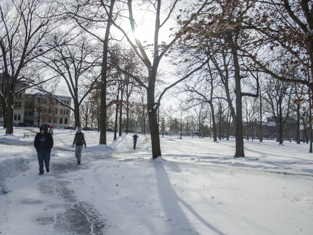 Students walk through the Quad on Jan. 7 at Ball State. DN PHOTO BREANNA DAUGHERTY