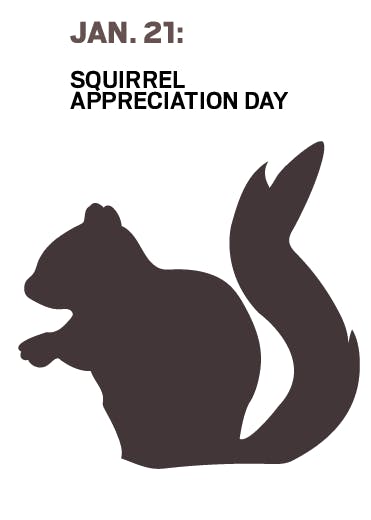 DN ILLUSTRATION&nbsp;