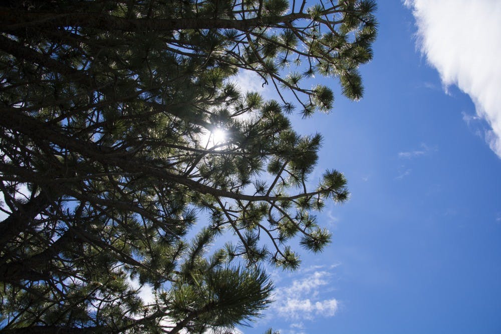 DN PHOTO SAMANTHA BRAMMER