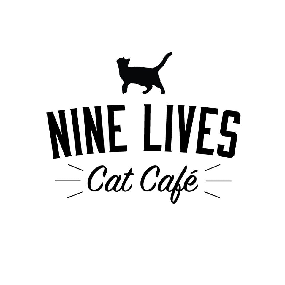 PHOTO COURTESY OF NINE LIVES CAT CAFE FACEBOOK