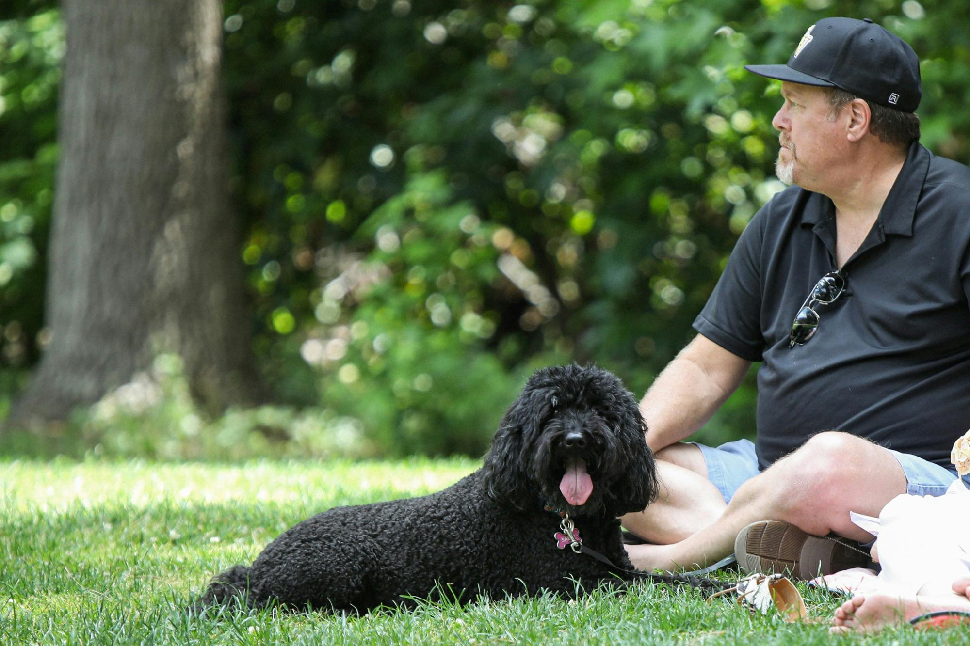 A dog enjoying the weather at a picnic with its owners at the Franklin D. Murphy Sculpture Garden in Los Angeles May 8. The garden spans more than five acres and houses over 70 sculptures. Daniel Kehn, DN