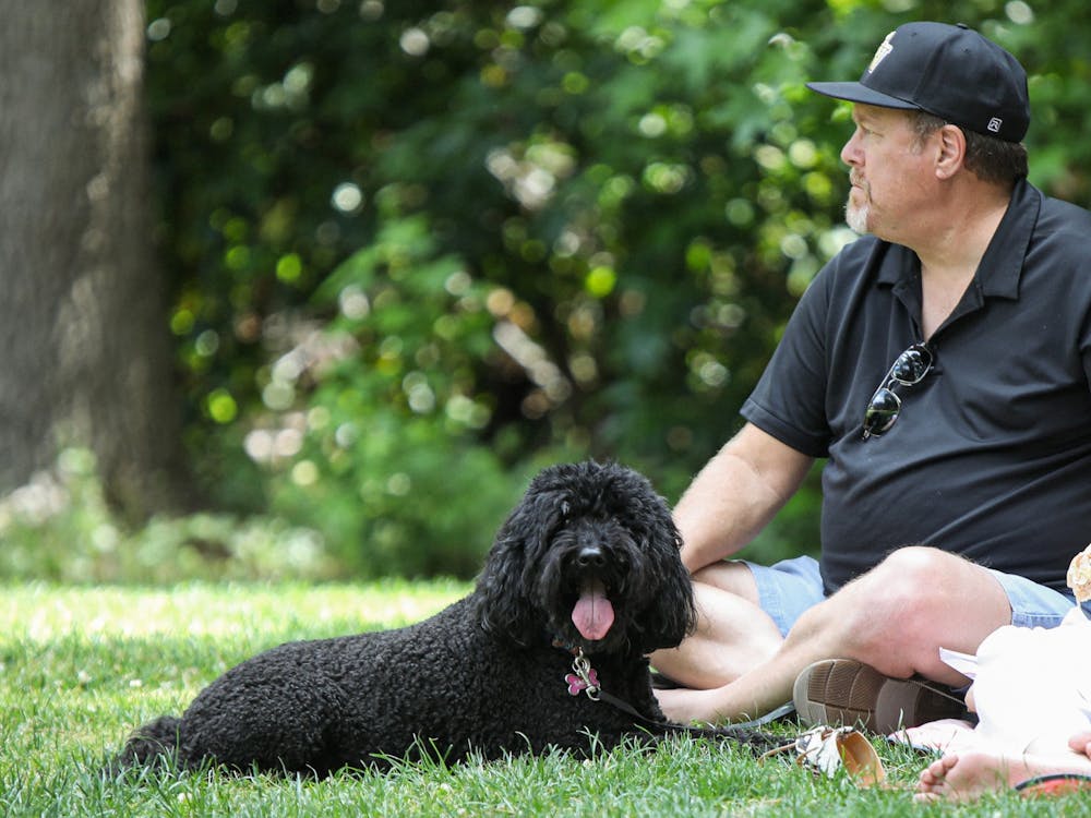 A dog enjoying the weather at a picnic with its owners at the Franklin D. Murphy Sculpture Garden in Los Angeles May 8. The garden spans more than five acres and houses over 70 sculptures. Daniel Kehn, DN