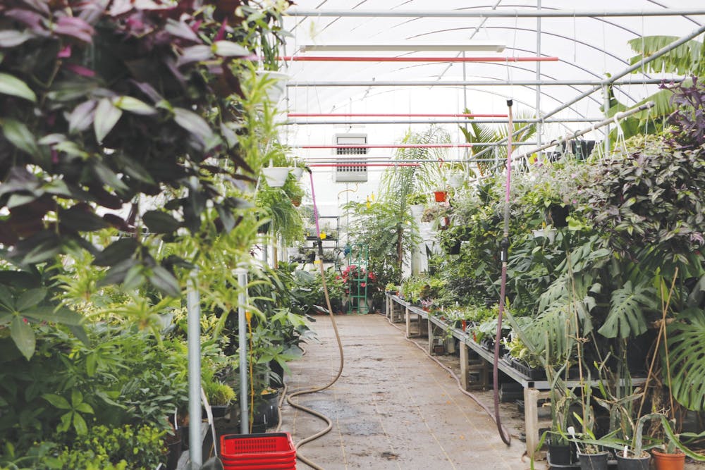 The Northern Tropics Greenhouse stores tropical plants inside one of its greenhouses Oct. 15. Owner Sandy Burrell partnered with local businesses and friends to sell items such as honey, soap and crystals along with her plants. Ayah Eid, DN