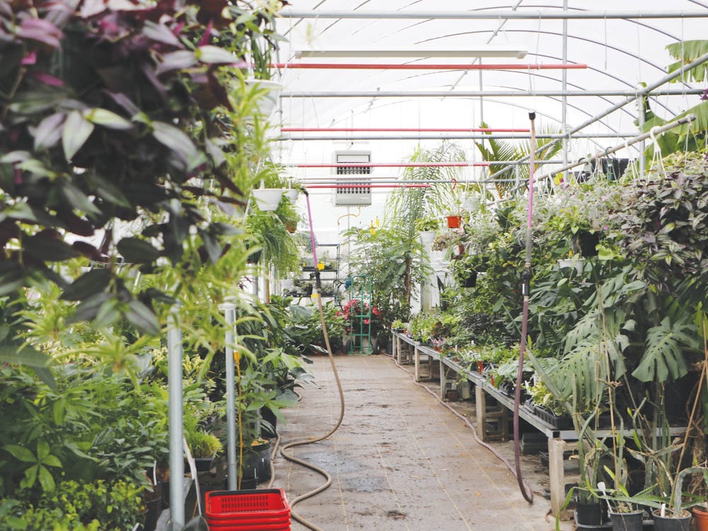 The Northern Tropics Greenhouse stores tropical plants inside one of its greenhouses Oct. 15. Owner Sandy Burrell partnered with local businesses and friends to sell items such as honey, soap and crystals along with her plants. Ayah Eid, DN