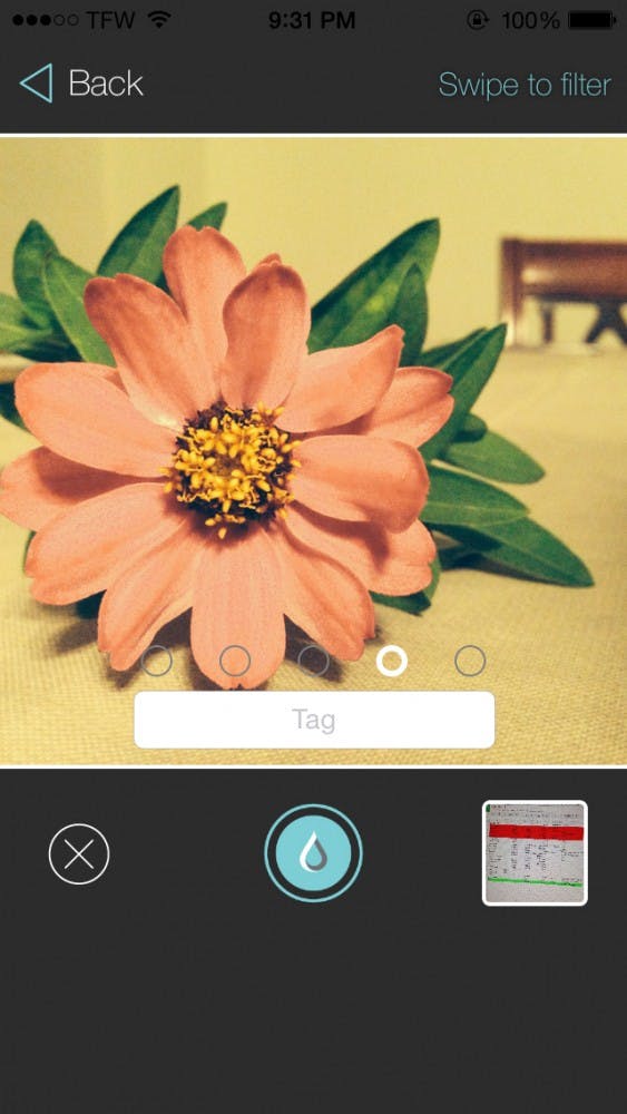 Noria is a photo sharing app created by former student David Rogers and Anthony Sparks, a senior communication major. The app offers filters, editing and other features to share photos. DN PHOTO BREANNA DAUGHERTY