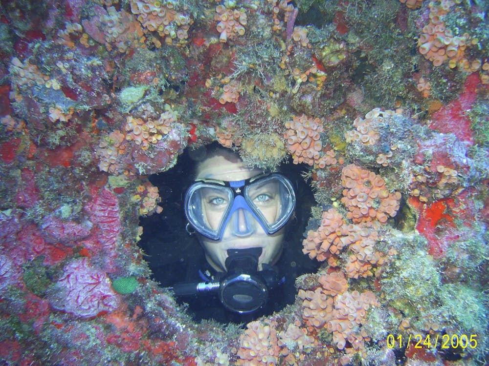 Sheli Plummer, an assistant lecturer of kinesiology, swims among the corals at the Wreck of the Duane Jan. 24, 2005, in Key Largo, Florida. Plummer lived in Key Largo, Florida after graduating from Ball State. Sheli Plummer, Photo Provided