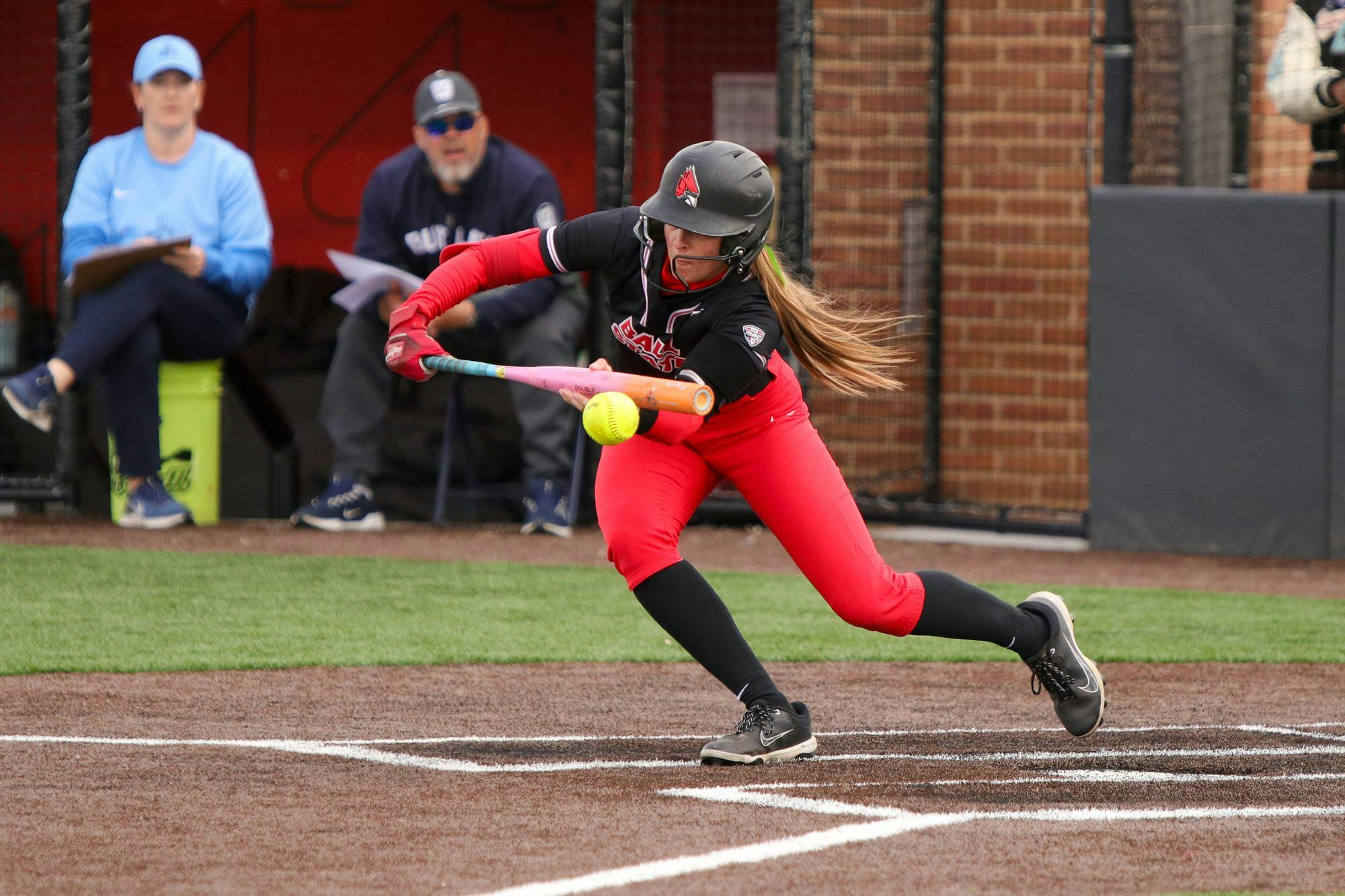 Ball State freshman outfielder Paige Kelley bunts the ball  March 24 at Ball State Softball Stadium. Kelley has a season high of 2 hits. Adam Jones, DN