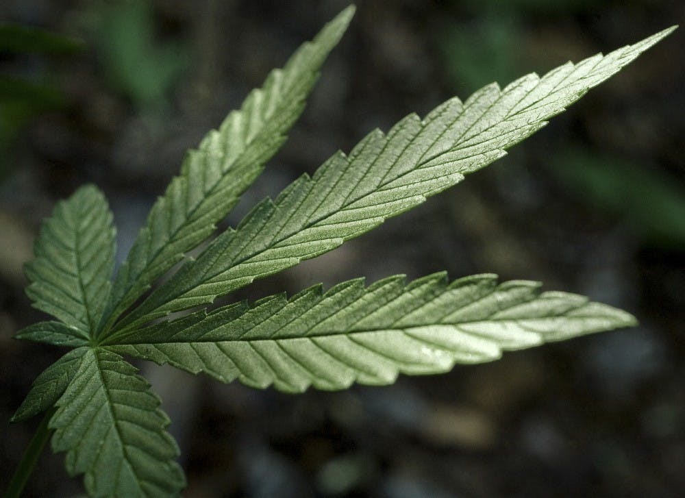<p>A study conducted by Ball State professors shows a positive outlook of marijuana legalization. Other Midwest states like Michigan and Ohio have taken to marijuana laws both medically and recreationally, with Indiana simultaneously rejecting this kind of legislation.<strong> TNS, Photo Courtesy</strong></p>