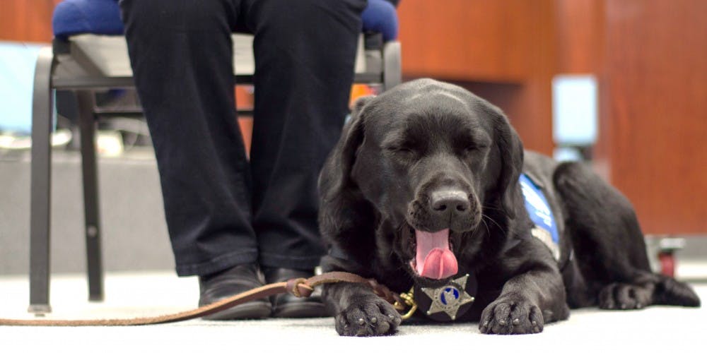 Kids at Delaware County courthouse have new furry friend to help reduce stress