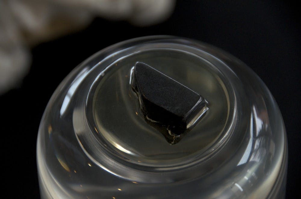 The only traveling moon rock sits on display April 25 in Pruis Hall. The moon rock came from a 19-pound chunk collected during Apollo 17's manned moon mission. It was the last manned mission to the moon. DN PHOTO ALAN HOVORKA