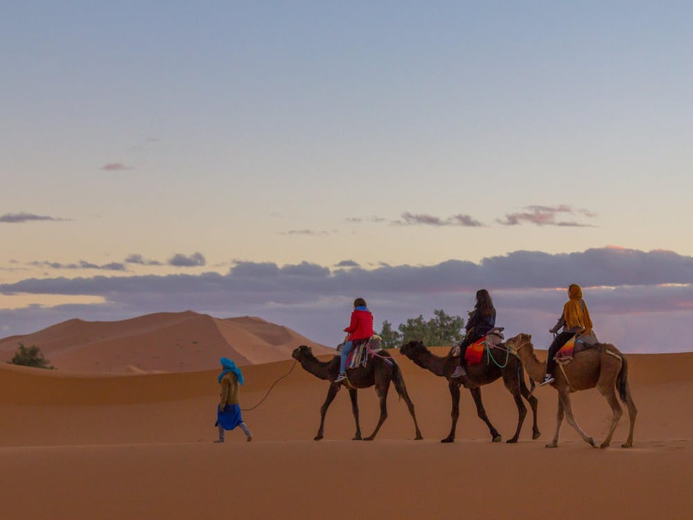 Ball State regularly hosts travel abroad opportunities to an average of 65 countries. Since spring 2020, Ball State hasn't sent any students abroad due to the pandemic and security risks. Rinker Center for Global Affairs, Photo Provided