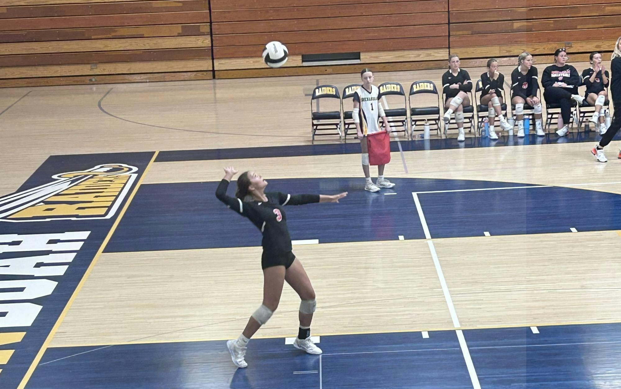 Marin Hopkins serves to Shenandoah, in 3-0 sweep. Photo by Kenna Geibel
