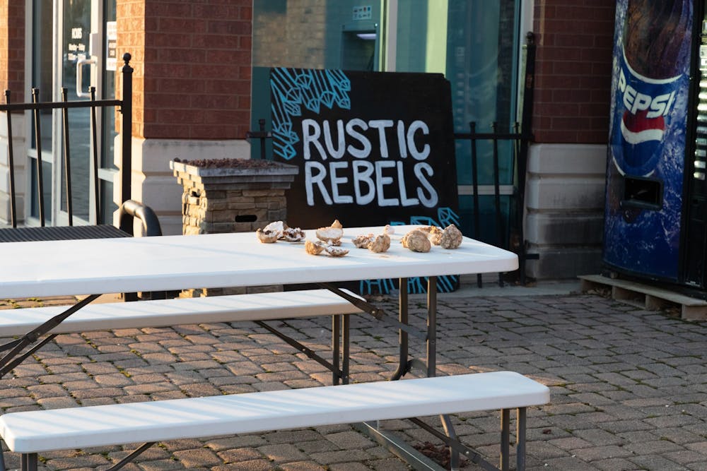 <p>Rustic Rebels Geode and Crystal Mine opened in October 2021 in the former location of ScreenBroidery, which moved a few doors down on West University Avenue last year. Along with other business updates in the Village this school year, there is construction at the old Two Cats Cafe location. <strong>Eli Houser, DN</strong></p>