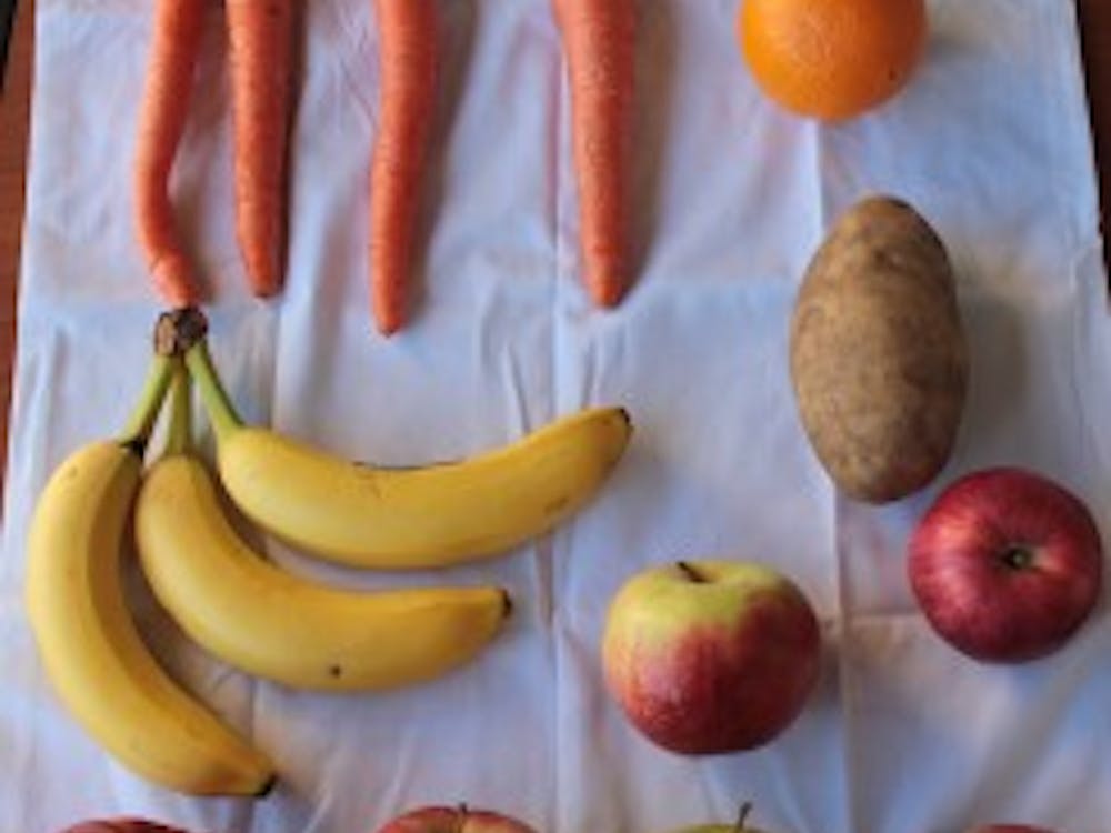 The Atkins diet focuses on eating fruits, vegetables, animal protein, fats, and fresh grocery items.