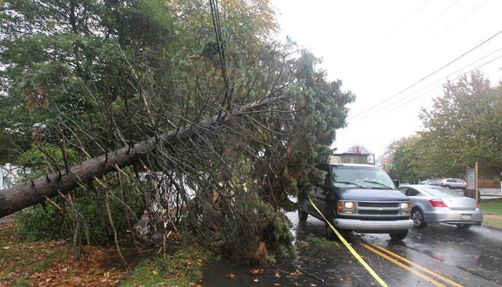 Traffic makes its way around a fallen evergreen tree on Burmont Rd. near School Lane in Drexel Hill, Delaware County, Pennsylvania, Monday, October 29, 2012. (Charles Fox/Philadelphia Inquirer/MCT)