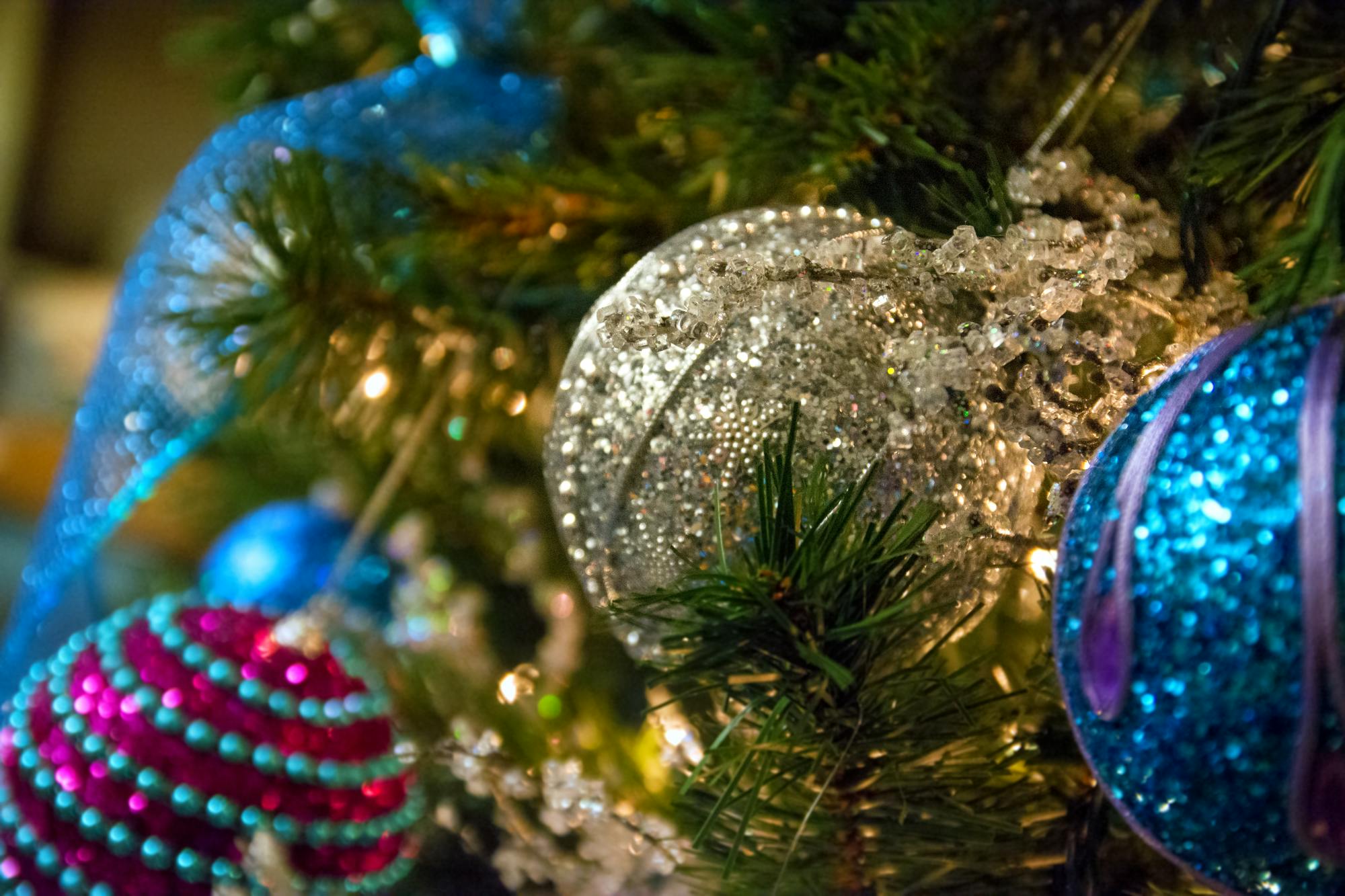 Luminaria walk at Minnetrista