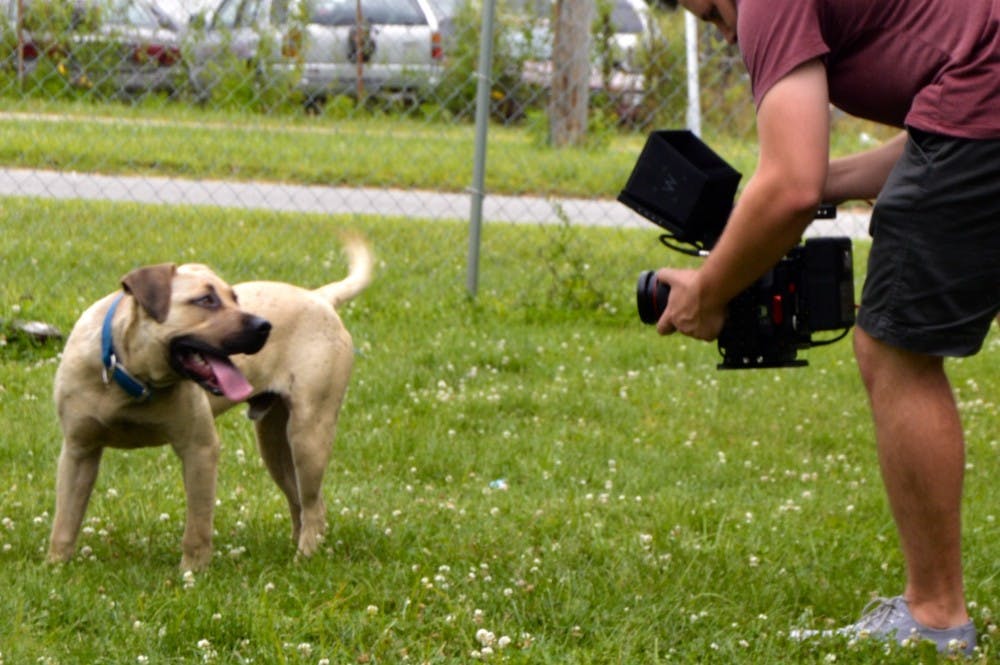 A Facebook film crew visited The Muncie Animal Shelter on July 18 to talk with volunteers as they walked dogs and played the mobile game Pokémon Go. DN PHOTO REBECCA KIZER