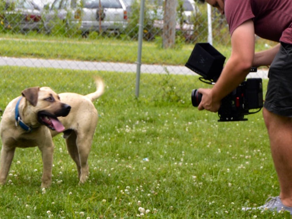 A Facebook film crew visited The Muncie Animal Shelter on July 18 to talk with volunteers as they walked dogs and played the mobile game Pokémon Go. DN PHOTO REBECCA KIZER