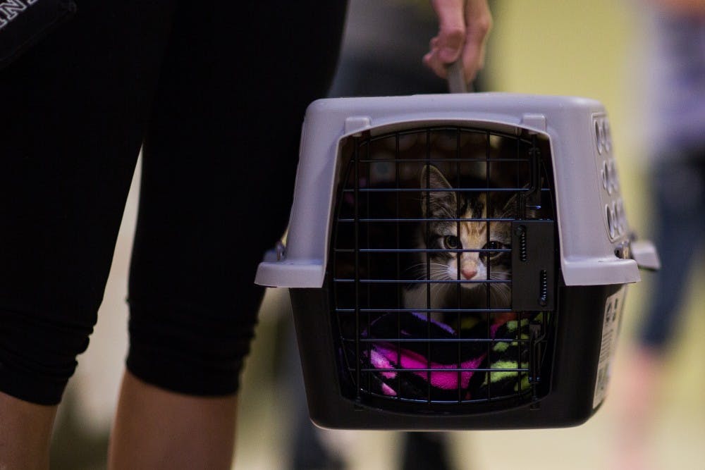 <p>There was a line out the door at the Muncie Animal Shelter on June 23 as people waited to see dogs and cats up for adoption. The &nbsp;Muncie City Council recently passed an ordinance to decrease the euthanasia rate at the Muncie Animal Shelter. Reagan Allen, DN File</p>