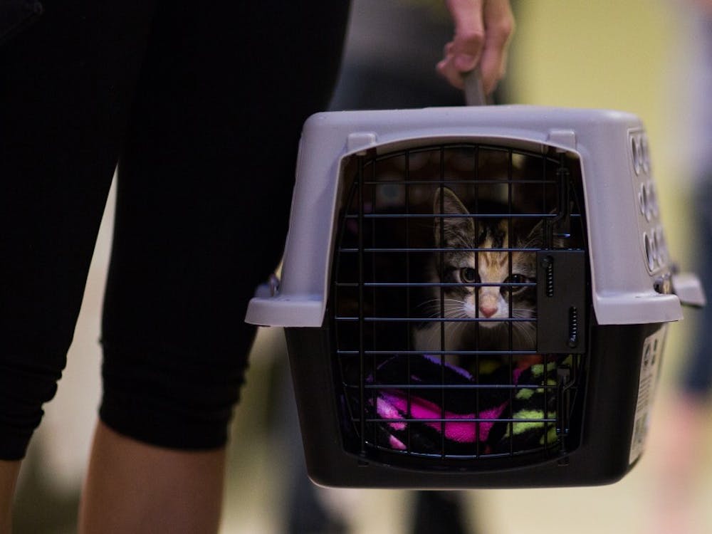 There was a line out the door at the Muncie Animal Shelter on June 23 as people waited to see dogs and cats up for adoption. The &nbsp;Muncie City Council recently passed an ordinance to decrease the euthanasia rate at the Muncie Animal Shelter. Reagan Allen, DN File