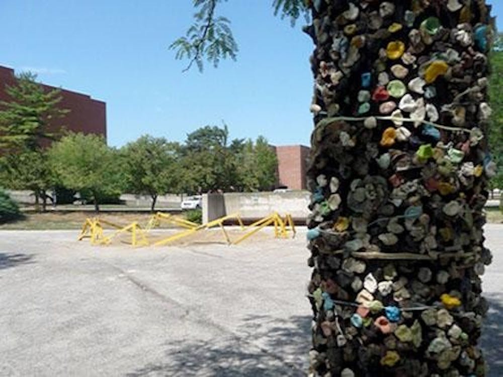 The Gum Tree, one of Ball State's well-known landmarks, formerly sat east of Pruis Hall. Sam Hoyt, DN File