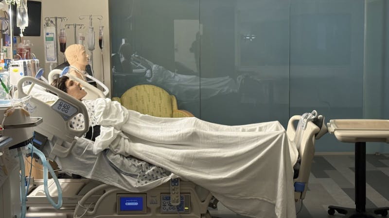 Stephanie 11:25:25.png