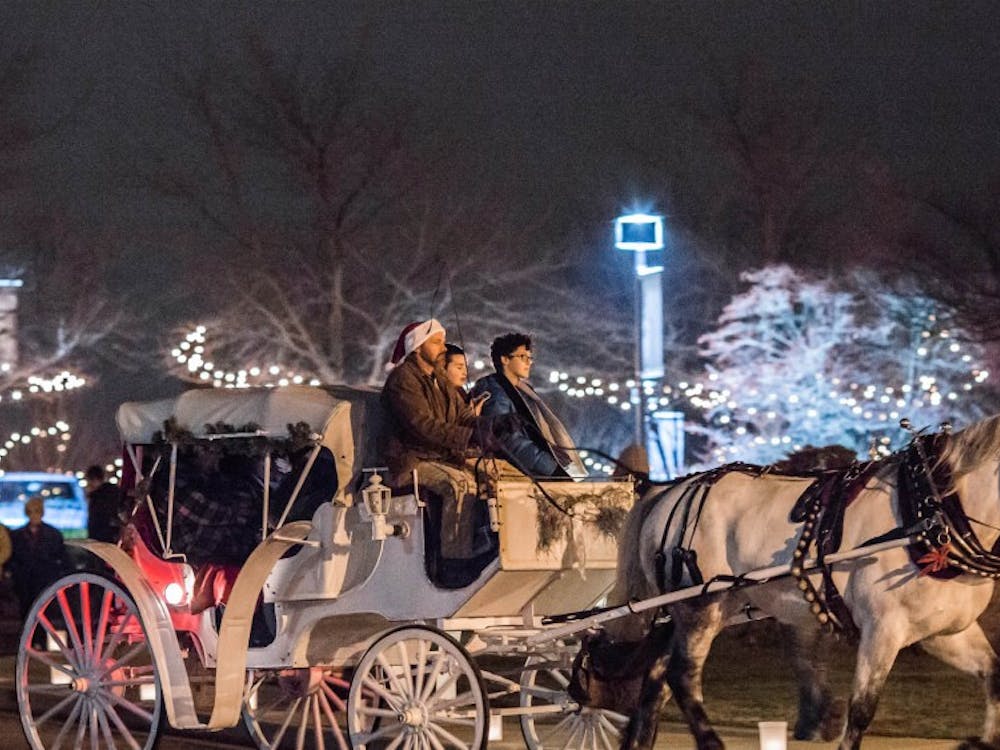 Minnetrista is having a Luminaria walk Dec. 1 and 2 from 6-9 p.m. The free community event will have sweets, winter crafts, carriage rides and music. Minnetrista Facebook, Photo Courtesy