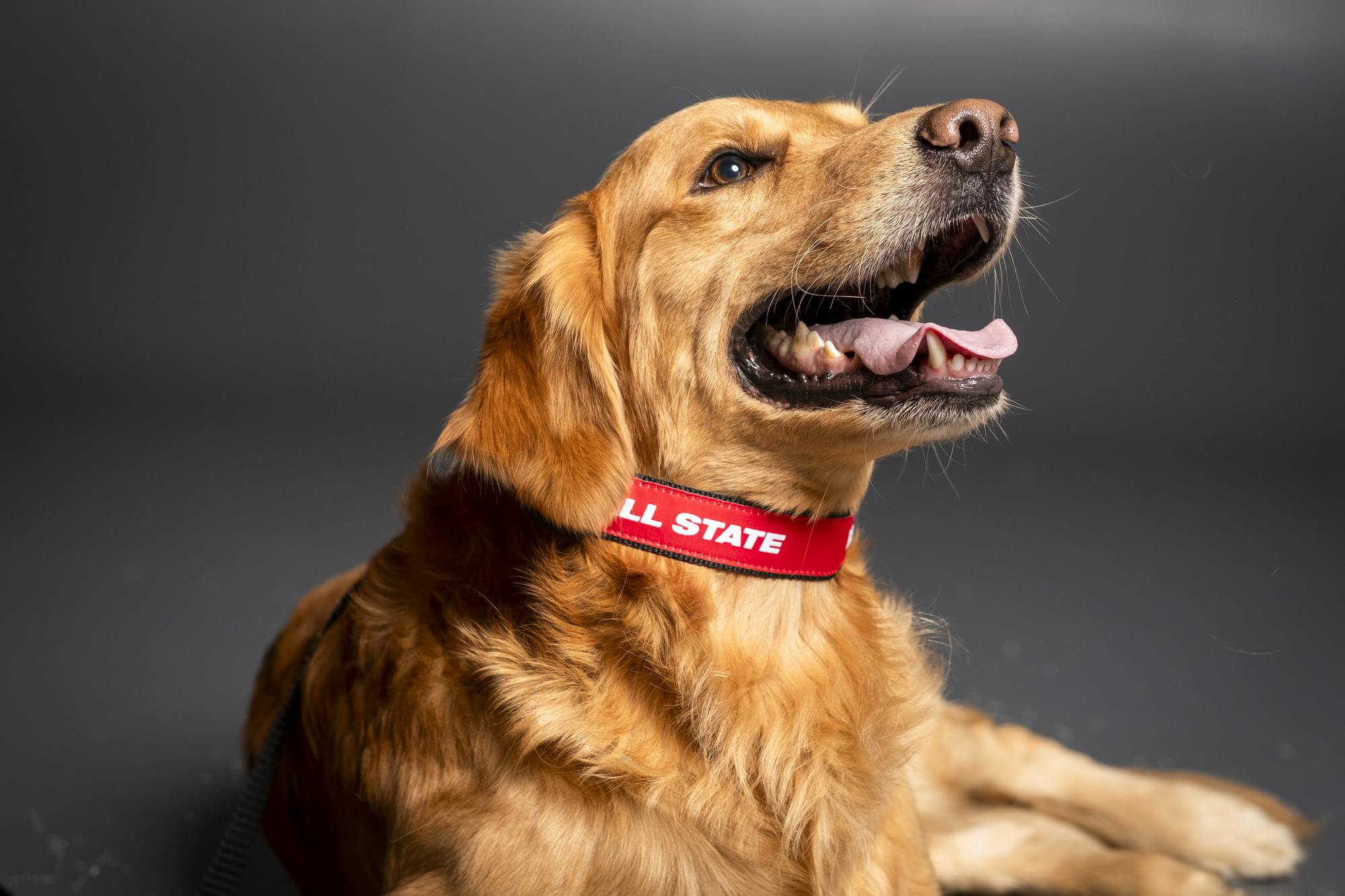 Spring magazine merchandise photos. Photo by Bobby Ellis