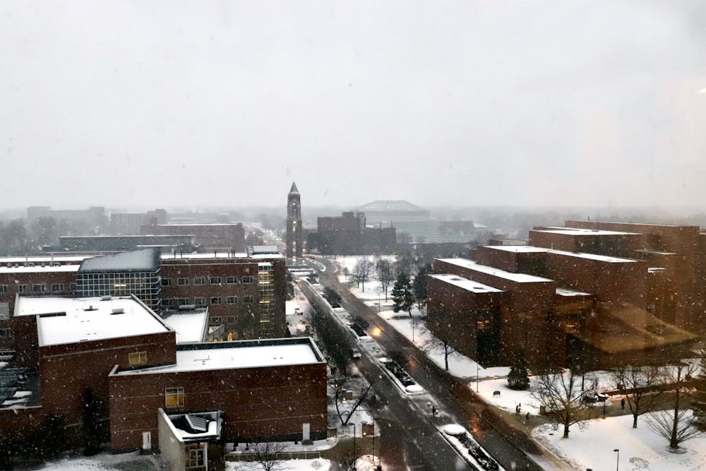 <p>Snow falls on the rooftops of campus buildings Feb. 8, 2021 from the top of Teachers College. <strong>Rylan Capper, DN</strong></p>