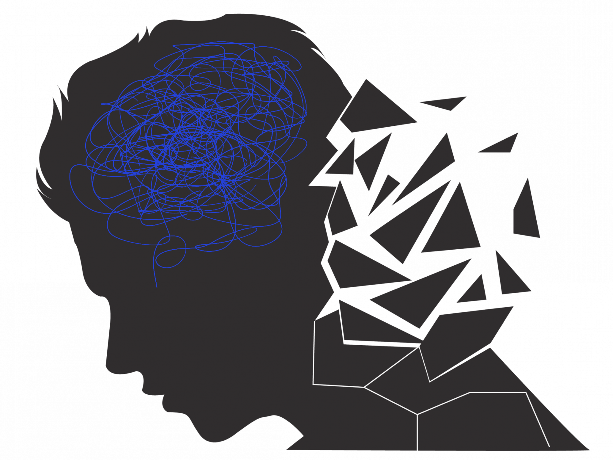 Maggie Getzin, DN Illustration