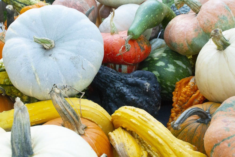 Spangler Farms in Yorktown is the pumpkin sponsor for the Pumpkin Trail & Glow at the Muncie Artswalk on Thursday. The Farm is donating 100 pumpkins to DWNTWN Muncie for the First Thursday event. Bailey Shelton,DN