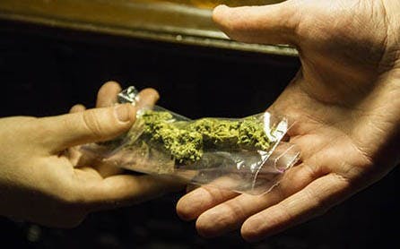 One student sells marijuana to a fellow student inside their home. Over an ounce of marijuana is a class D misdemeanor. DN PHOTO ILLUSTRATION EMMA FLYNN