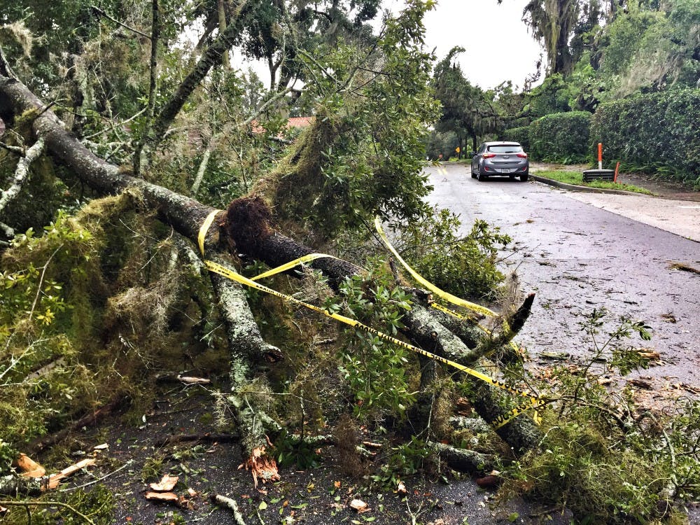 A tree downed by Hurricane Matthew lies across Via Tuscany street on Friday, Oct. 7, 2016 in Winter Park, Fla. (Joe Burbank/Orlando Sentinel/TNS) 