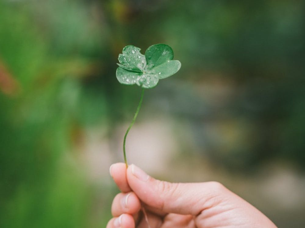 DIY decorations inspired by Pinterest can help save time and money when planning for any St. Patrick's Day party. Unsplash, Photo courtesy