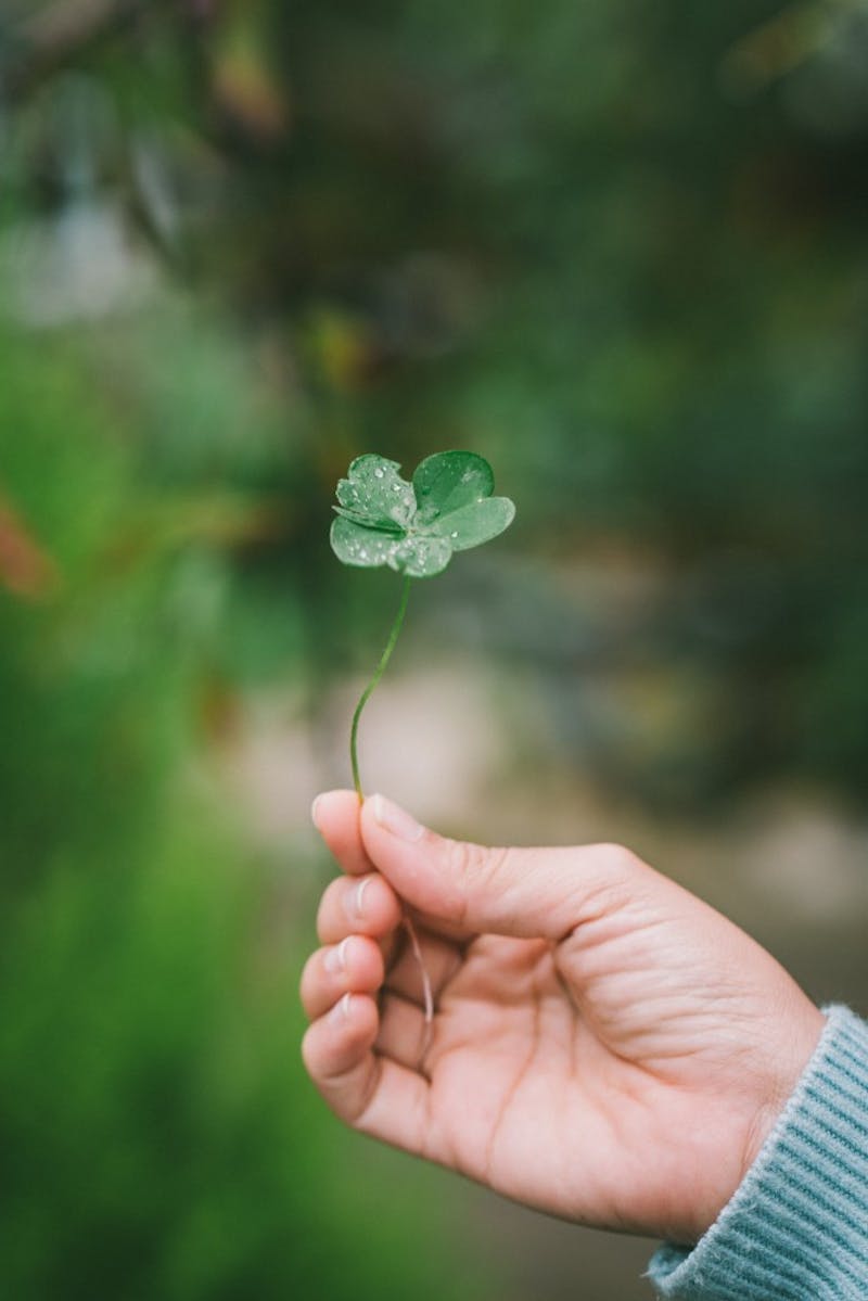 DIY decorations inspired by Pinterest can help save time and money when planning for any St. Patrick's Day party. Unsplash, Photo courtesy