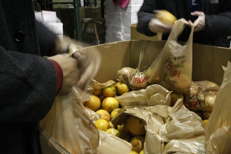 The volunteers move at a quick pace while moving the produce from crate to bag to box.  Some had different techniques for doing so, as they would bag the fruit and keep it in the original crate until they could unload many bags at a time.  
