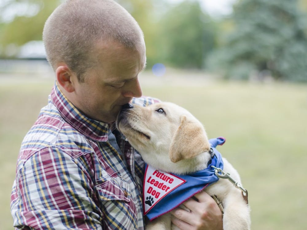 When Charlie, a yellow Labrador retriever, returns to Rochester Hills, Michigan, on August 7, he will have visited 25 states alongside assistant professor of journalism Robin Blom.&nbsp;DN FILE PHOTO BREANNA DAUGHERTY
