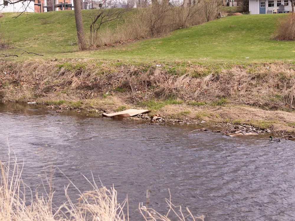 Town litter like this cardboard box sits on the bank of the White River. Even with the White River Cleanup, runoff and natural events continue to transport litter into the water.