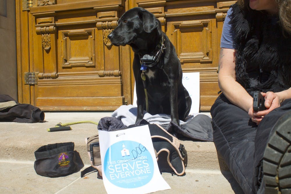 "This dog serves everyone." | DN PHOTO BRADLEY DEAN JONES