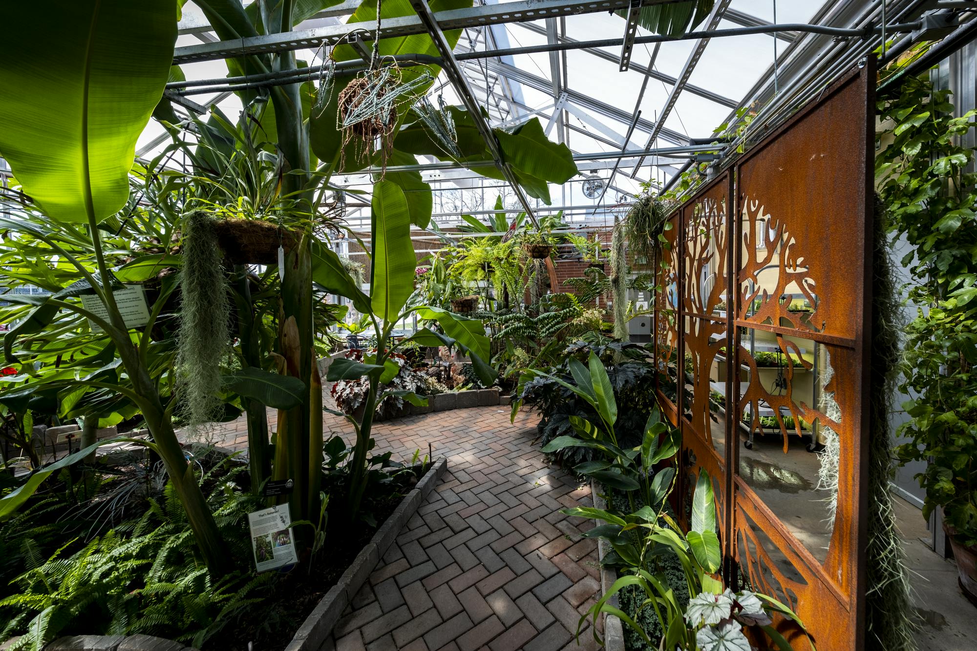 MC-53444 - Dr. Joe and Alice Rinard Orchid Greenhouse & the Environmental Education Center Campus Beauty