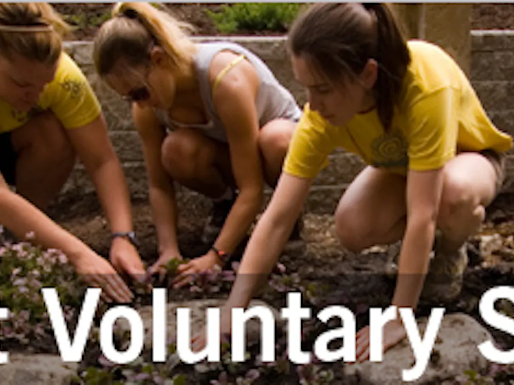 Muncie community members and Ball State faculty and students have donated to Angel Tree for 339 needy children. Student Voluntary Services wrapped the gifts on Dec. 5 and will distribute them to the Delaware County Department of Family and Children’s Services Dec. 9. Ball State Campus Life // Photo Courtesy