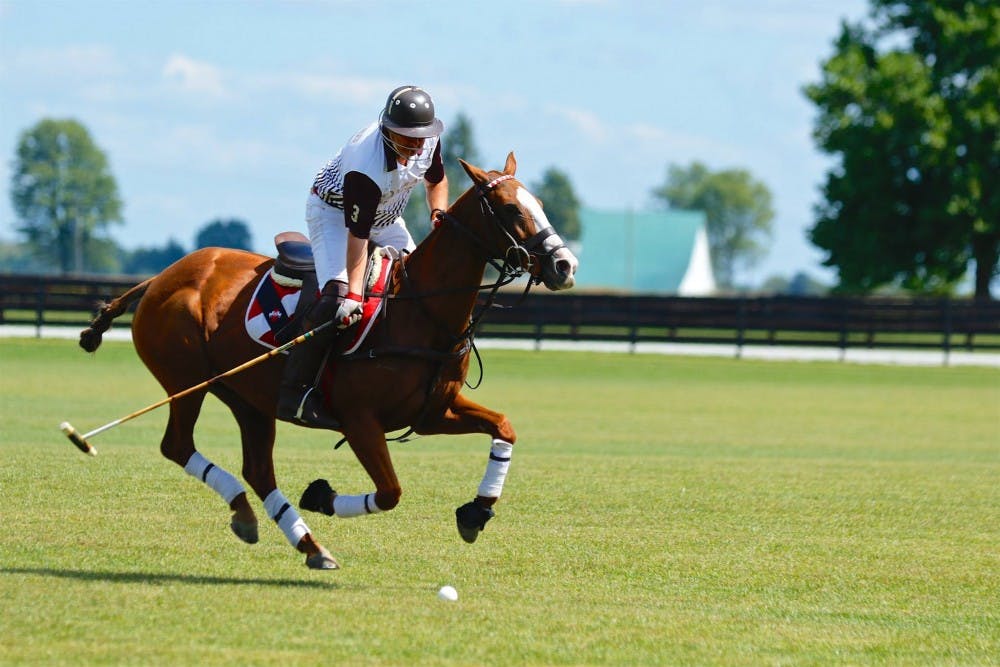 <p>Polo on the Prairie will be held at the <ins>Hickory Hall Polo Club</ins> in Whitestown, Indiana. Collection buckets will also be passed around at the event to encourage donations to Riley Children's Hospital and the cost to enter the event is $20 per-car. Photo Provided</p>