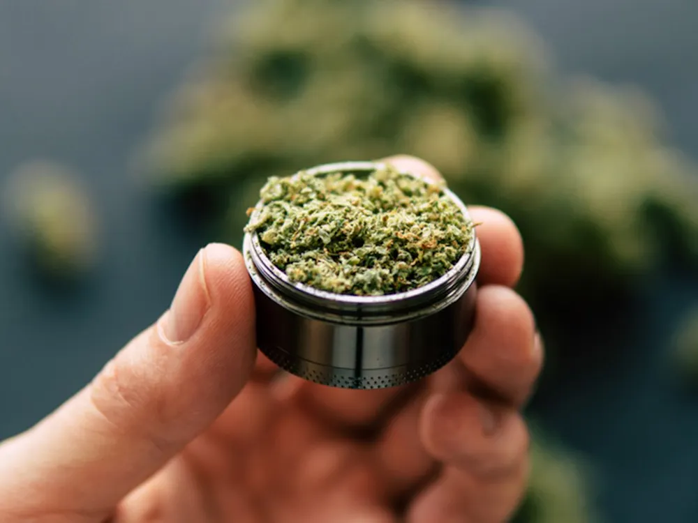 Michigan voters approved allowing people to grow their own marijuana, but getting the materials may be difficult. Dreamstime,TNS PHOTO