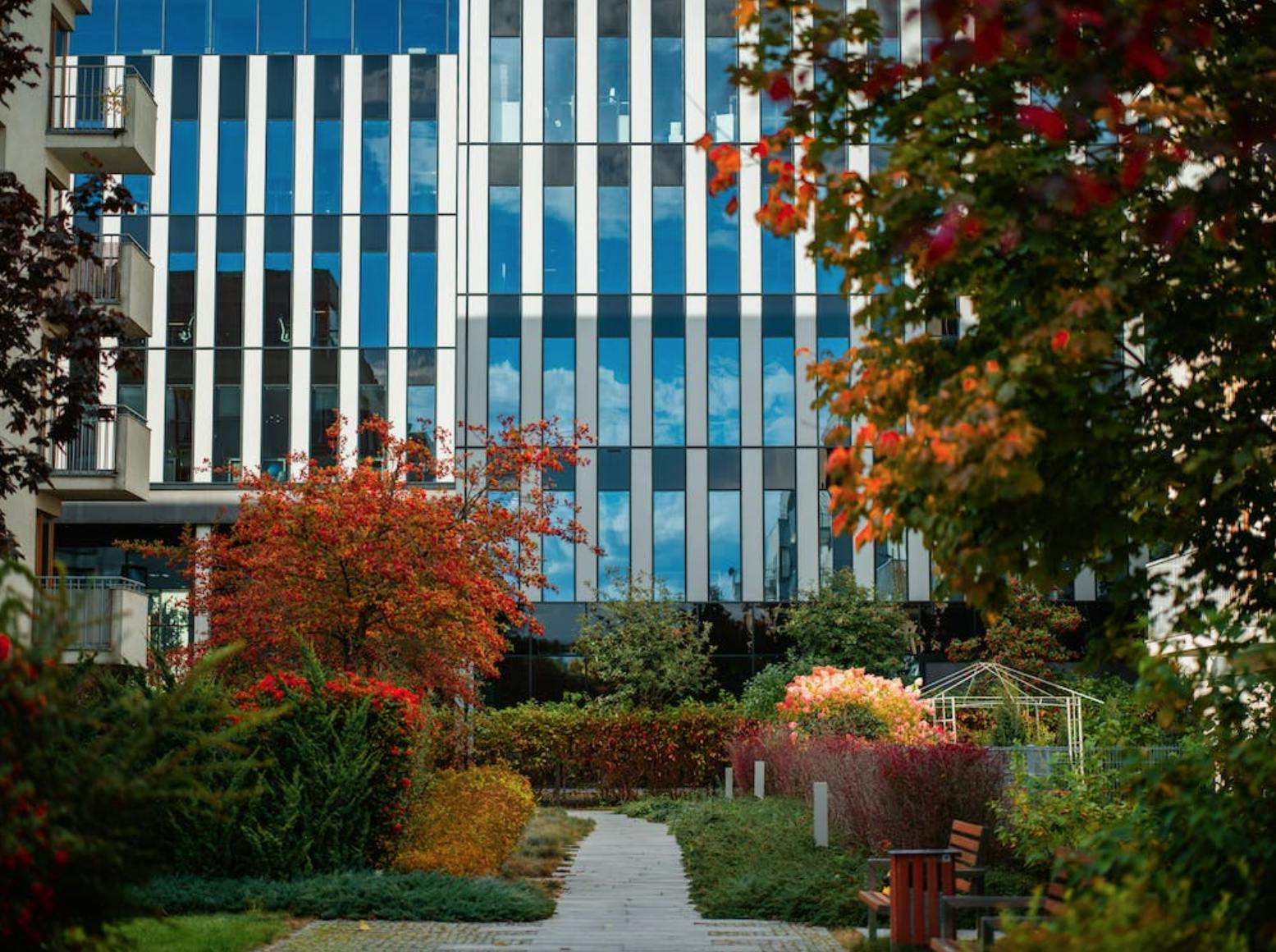 Image Source: pexels.com